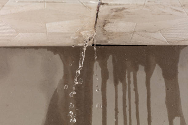 Professional Structural Drying technician working in Reston, VA